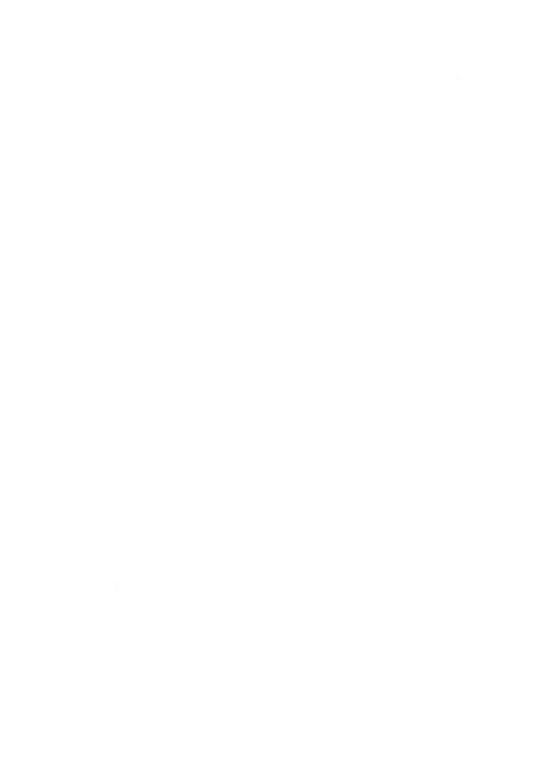 Sítio Montanhas do Coiote